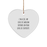 Funny CFO Gifts - Heart Ornament with I'm A Cfo. My Level Of Sarcasm Depends On Your Level Of Stupidity. - Gifts from Men to Women, Friends, Coworkers, Family, and More for Christmas - Image 1